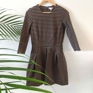 Ponte Black and Tan Striped Dress